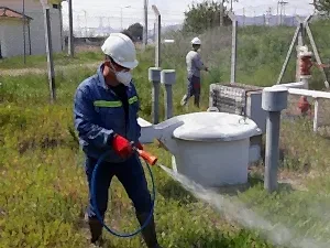 Ot İlaçlama ve Temizleme