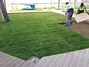 Peyzaj Düzenleme ve Bahçe Bakımı