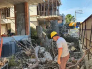 İZMİR SAHİLEVLERİ'NDE ÇAM AĞACI KESİM ÇALIŞMASI