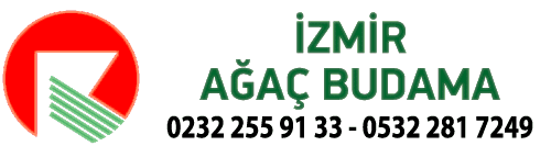 İzmir Ağaç Budama
